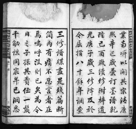 湖南陈氏族谱-醴西南岸陈氏四修族谱 [15卷].pdf电子版预览图2