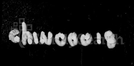 湖南陈氏族谱-陈氏六修族谱 [君房22卷,首1卷,麒房12卷,垂丝图2卷].pdf电子版预览图3