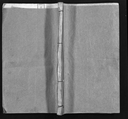 湖南陈氏族谱-陈氏四修族谱 [19卷].pdf电子版缩略图