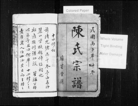 湖南陈氏族谱-陈氏宗谱 [34卷,首3卷,末5卷].pdf电子版预览图1