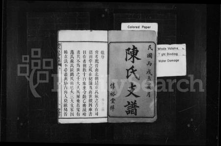 湖南陈氏族谱-陈氏支谱 [20卷,含卷末1卷].pdf电子版预览图2