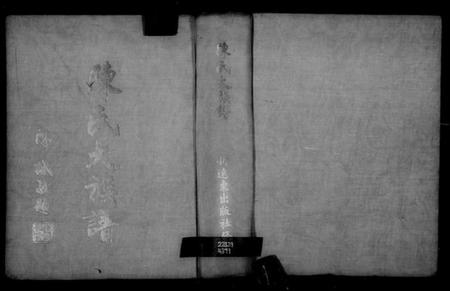 广东、福建陈氏族谱-陈氏大族谱.pdf电子版缩略图