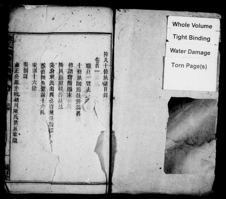 湖南陈氏族谱-陈氏族谱 [20卷,及卷首].pdf电子版预览图1