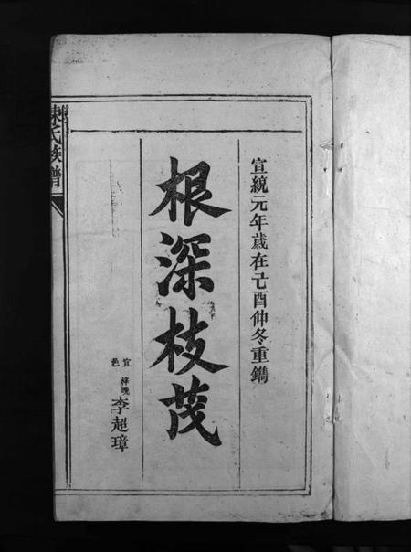 湖南陈氏族谱-陈氏族谱 [6卷].pdf电子版预览图2