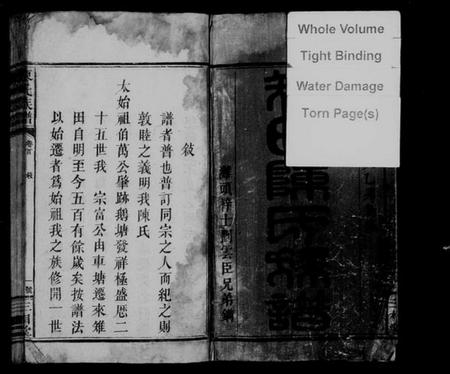 湖南陈氏族谱-陈氏族谱 [8卷,首2卷].pdf电子版预览图2