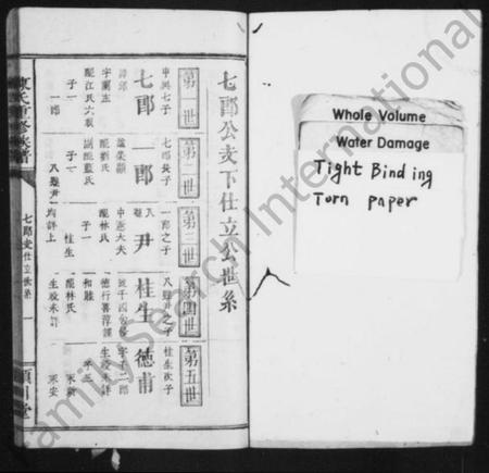 湖南陈氏族谱-陈氏族谱 [残卷].pdf电子版预览图1