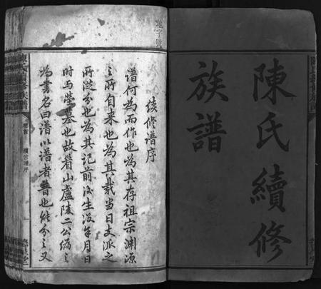 湖南陈氏族谱-陈氏续修族谱 [8卷,首1卷].pdf电子版预览图2