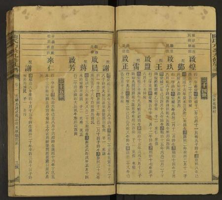 湖南陈氏族谱-陈氏九修族谱 [残卷].pdf电子版预览图3