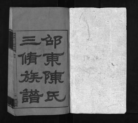 湖南陈氏族谱-邵东陈氏三修族谱 [8卷,首末各1卷].pdf电子版预览图1