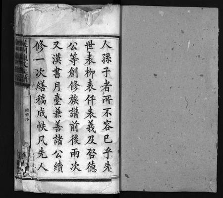 湖南陈氏族谱-义门陈氏族谱 [12卷].pdf电子版预览图1