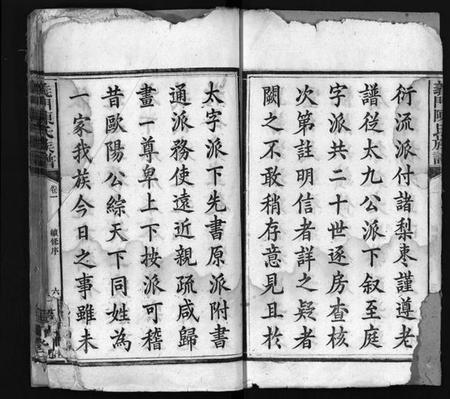 湖南陈氏族谱-义门陈氏族谱 [12卷].pdf电子版预览图4