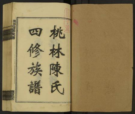 湖南陈氏族谱-桃林陈氏四修族谱 [残卷].pdf电子版预览图1