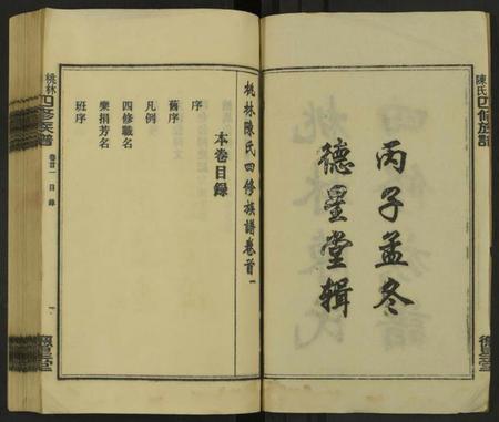 湖南陈氏族谱-桃林陈氏四修族谱 [残卷].pdf电子版预览图2