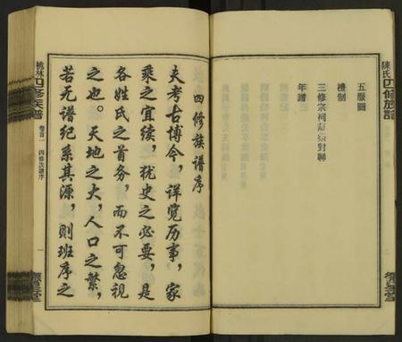 湖南陈氏族谱-桃林陈氏四修族谱 [残卷].pdf电子版预览图4