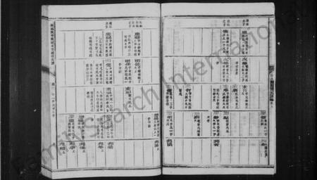 江西陈氏族谱-柳溪黄塘陈敦本堂续修支谱 [5卷,首1卷].pdf电子版预览图5