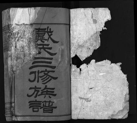 湖南戴氏族谱-戴氏三修族谱 [13卷,首1卷].pdf电子版预览图1