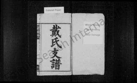 湖南戴氏族谱-善邑黄泥塘戴氏续修支谱 [8卷].pdf电子版预览图1