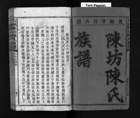 江西陈氏族谱-石城陈坊陈氏族谱 [54卷].pdf电子版预览图1