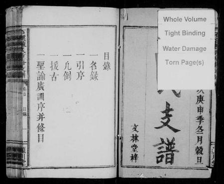 江西陈氏族谱-石溪陈氏重修支谱 [3卷,及卷首].pdf电子版预览图2