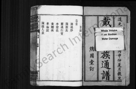 湖南戴氏族谱-戴氏阖族通谱 [19卷,含卷首].pdf电子版预览图2