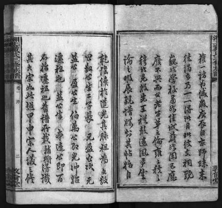 湖南戴氏族谱-湘上戴氏族谱 [36卷].pdf电子版预览图2