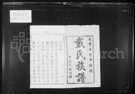 湖南戴氏族谱-鹤岭戴氏四修族谱 _ [40卷].pdf电子版预览图2