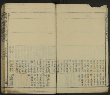 江西陈氏族谱-义门陈氏家乘 [不分卷].pdf电子版预览图3