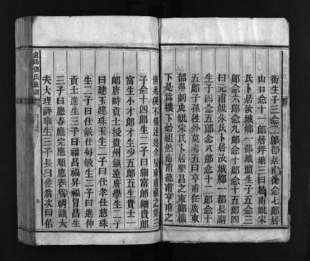 湖南邓氏族谱-卢阳邓氏族谱 [不分卷].pdf电子版预览图5