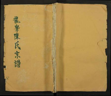 江西陈氏族谱-龙峯陈氏宗谱[残卷].pdf电子版缩略图