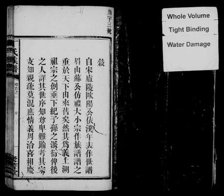 湖南丁氏族谱-丁氏六修族谱 [21卷,首4卷].pdf电子版预览图2