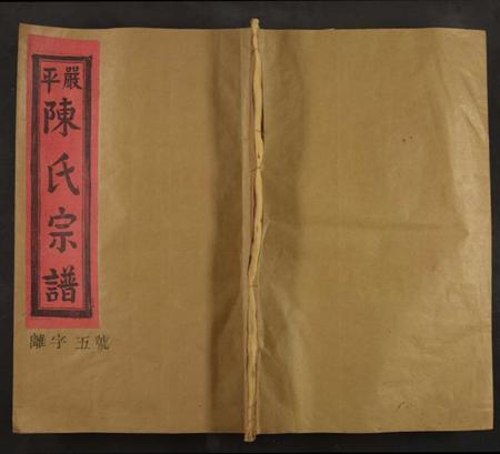 江西陈氏族谱-严平陈氏宗谱[不分卷].pdf电子版缩略图