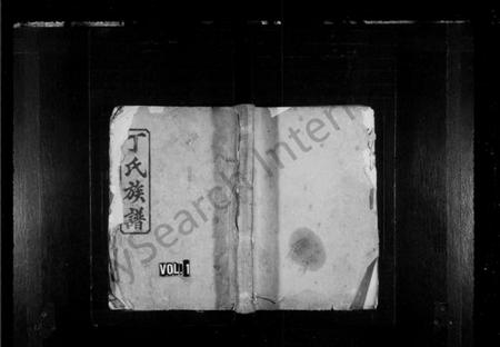 湖南丁氏族谱-丁氏续修族谱 [19卷,首2卷].pdf电子版