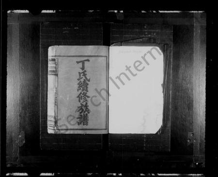 湖南丁氏族谱-丁氏续修族谱 [19卷,首2卷].pdf电子版预览图1