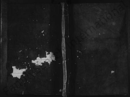 江西陈氏族谱-兴邑大江陈氏族谱 [不分卷].pdf电子版缩略图