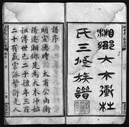 湖南杜氏族谱-湘乡杜氏三修族谱 [21卷,首1卷].pdf电子版预览图3