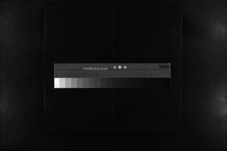 湖南樊氏族谱-樊氏族谱 [10卷].pdf电子版