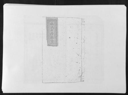 湖南扶氏族谱-桂东扶氏族谱 [不分卷].pdf电子版