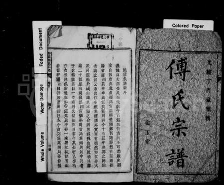 湖南傅氏族谱-傅氏宗谱 [5卷,首末各1卷].pdf电子版预览图2