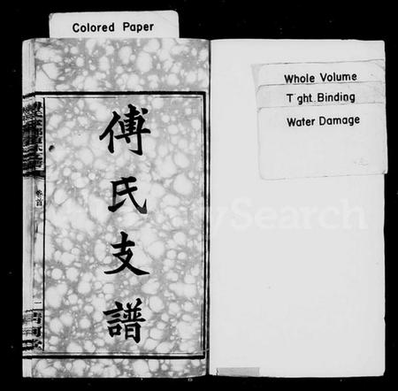 湖南傅氏族谱-傅氏支谱 [12卷,首1卷].pdf电子版预览图2