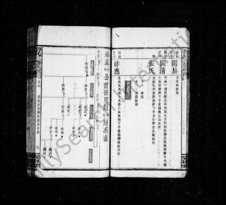 湖南傅氏族谱-大塘傅氏三修族谱 [11卷,及卷首].pdf电子版预览图2