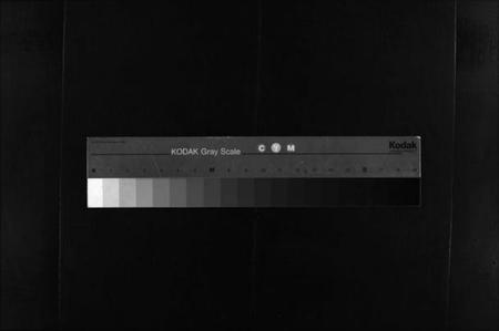 湖南傅氏族谱-浏阳花园傅氏族谱 [30卷].pdf电子版缩略图