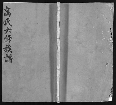 湖南高氏族谱-高氏六修族谱 [18卷含卷首,末2卷].pdf电子版预览图1