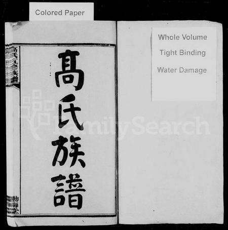 湖南高氏族谱-高氏族谱 [25卷,首3卷].pdf电子版预览图2