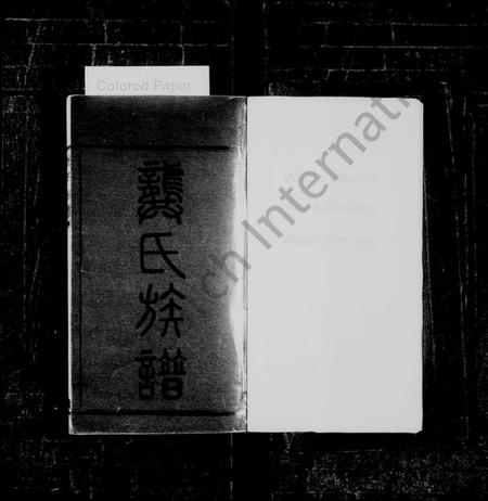 湖南龚氏族谱-龚氏族谱 [80卷,首5卷,末4卷].pdf电子版预览图2