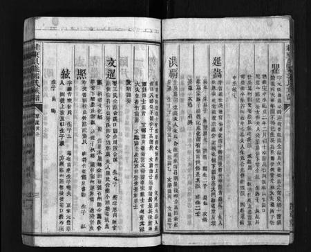 湖南郭氏族谱-桂东郭氏族谱[10卷].pdf电子版预览图4