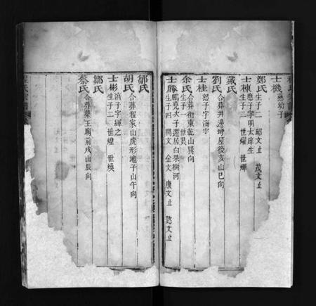 江西程氏族谱-程氏宗谱 [残卷].pdf电子版预览图5