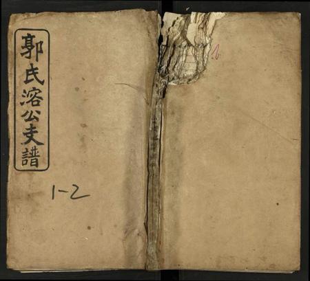 湖南郭氏族谱-郭氏溶公支谱 [74卷及卷首末].pdf电子版缩略图