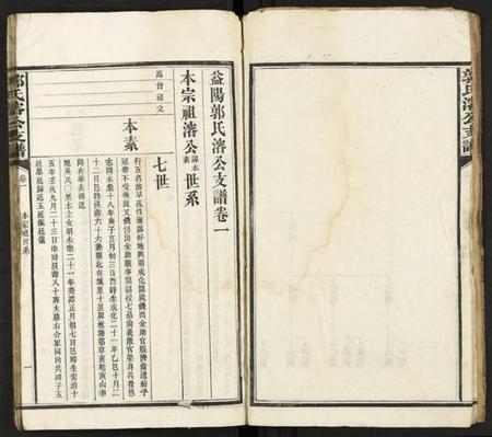 湖南郭氏族谱-郭氏溶公支谱 [74卷及卷首末].pdf电子版预览图5