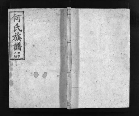 湖南何氏族谱-何氏续修族谱 [不分卷].pdf电子版预览图1