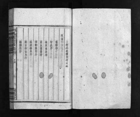 湖南何氏族谱-何氏续修族谱 [不分卷].pdf电子版预览图2